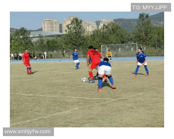 足球明星的职业生涯与健康长寿之间的关系探讨